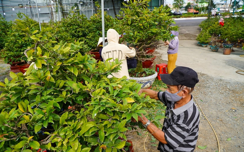 Mẹo dọn nhà đón Tết