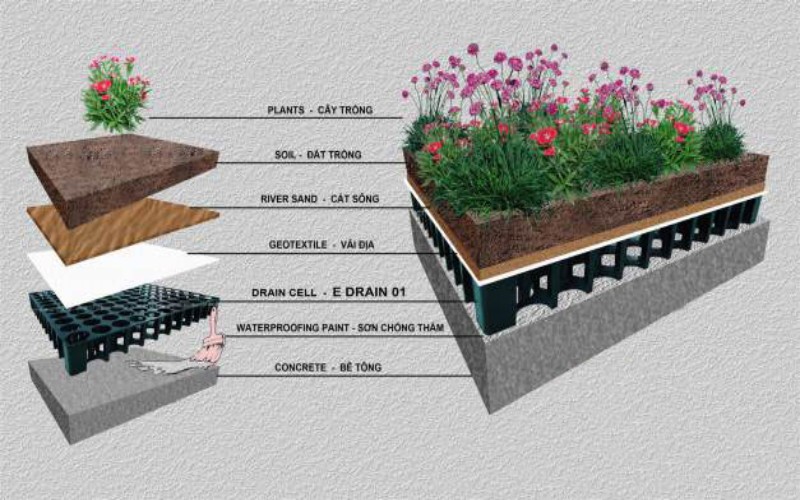 Dịch vụ chống thấm sân nhà tại Cần Thơ