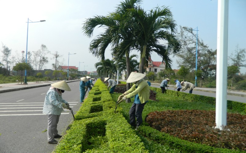 Dịch vụ tỉa cây xanh tại Cần Thơ